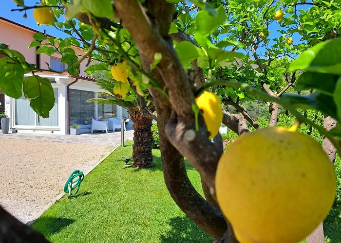 Bed & Breakfast Capo Al Piano