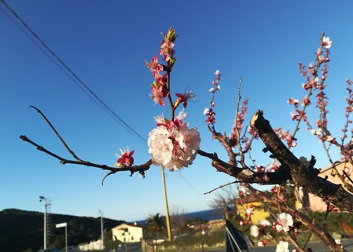 Bed & Breakfast Capo Al Piano 4*