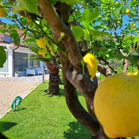 Bed and breakfast Capo Al Piano