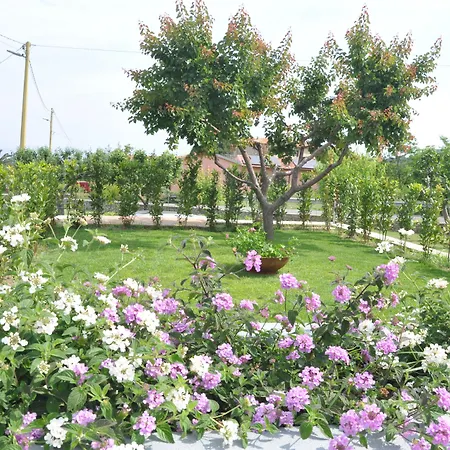 Bed & Breakfast Capo Al Piano