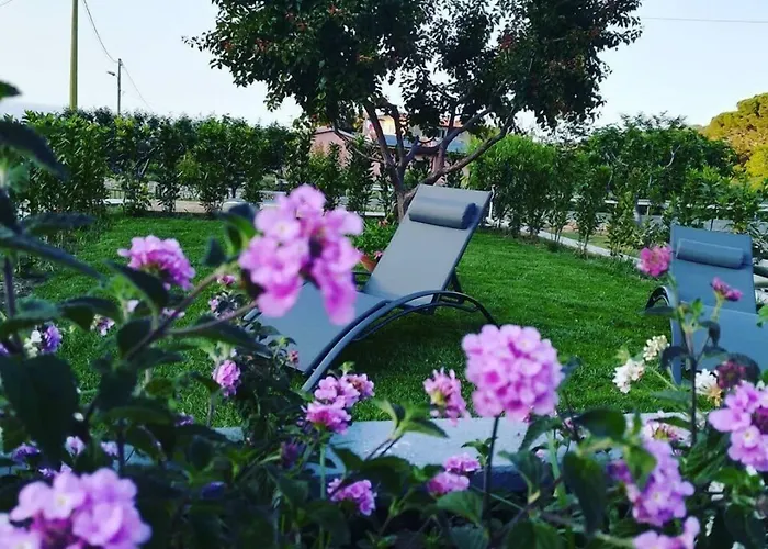 ベッド・アンド・ブレックファスト Capo Al Piano